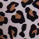 Stylish Leopard Print Two-Piece Swimsuit with Deep V-Neck Top